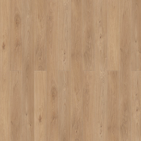 Caledon - Aqua X Collection - Coral Sunset