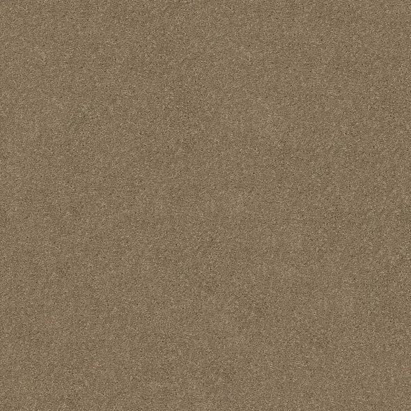 Shaw Floors - Carpet - Simply The Best  - Attainable - Cork