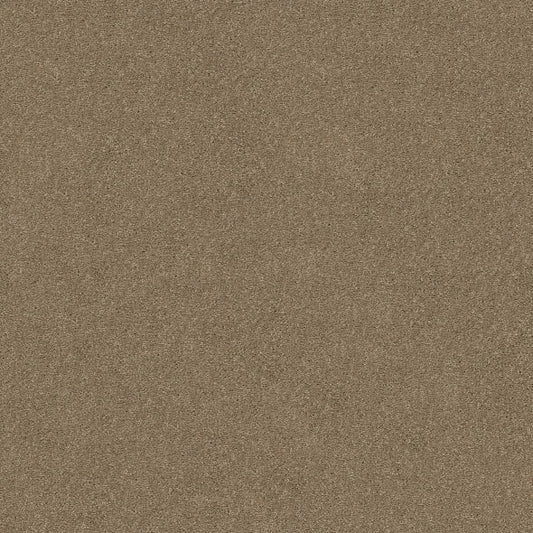 Shaw Floors - Carpet - Simply The Best  - Attainable - Cork