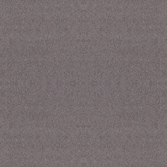 Shaw Floors - Carpet - Foundations Collection  - Alluring Canvas - Deep Connection