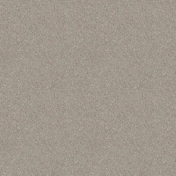 Shaw Floors - Carpet - Simply The Best  - Attainable - Desert Light