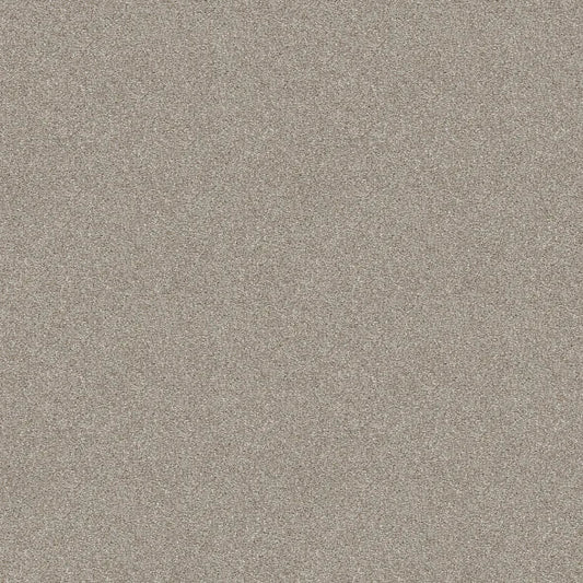 Shaw Floors - Carpet - Simply The Best  - Attainable - Desert Light