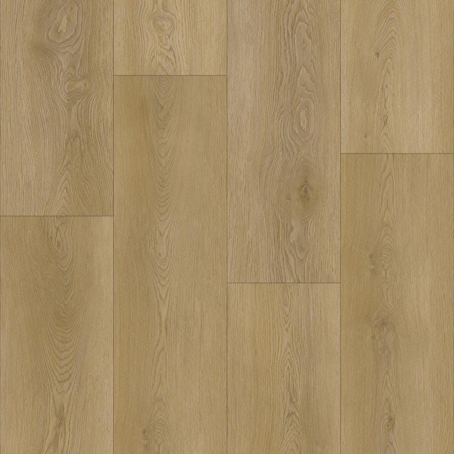 CALEDON - ARTIMIS COLLECTION - DRIFTWOOD DUNE