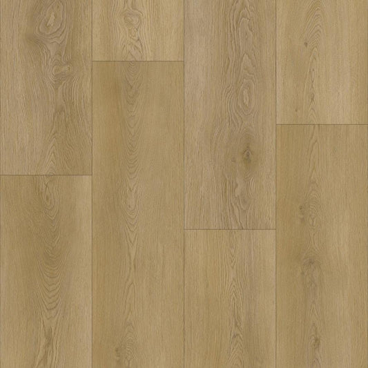 CALEDON - ARTIMIS COLLECTION - DRIFTWOOD DUNE