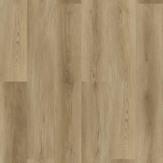 TAIGA - Aquila Collection - Etiquette