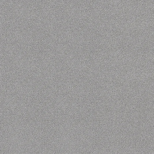 Shaw Floors - Carpet - COMFORTING II - Foil