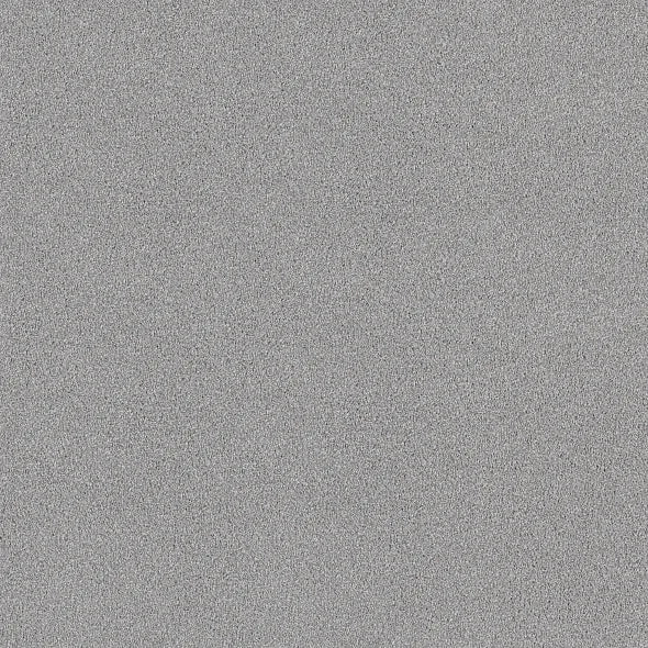 Shaw Floors - Carpet - COMFORTING I - Foil