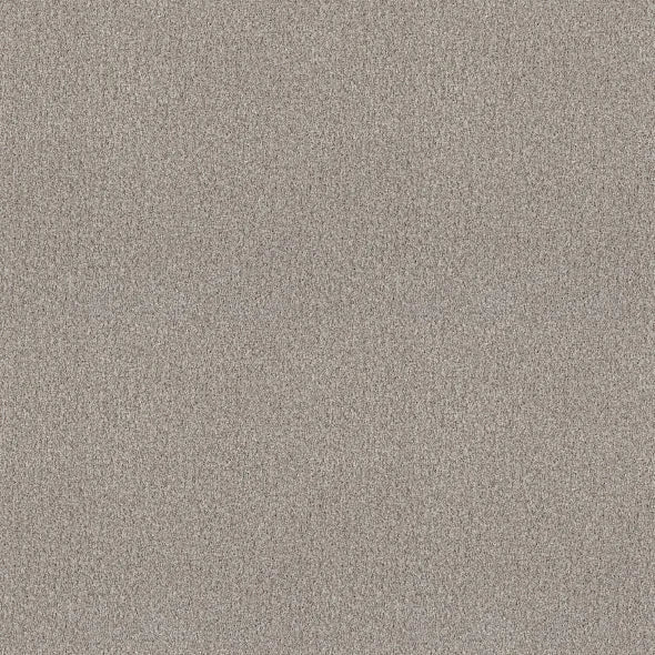 Shaw Floors - Carpet - COMFORTING II - French Buff