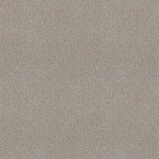 Shaw Floors - Carpet - COMFORTING I - French Buff
