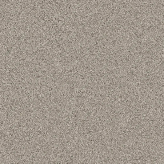 Shaw Floors - Carpet - Foundations Collection  - Alluring Canvas - Fossil Path