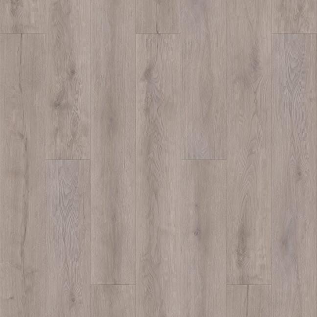 TAIGA - Aquila Collection - Fearless