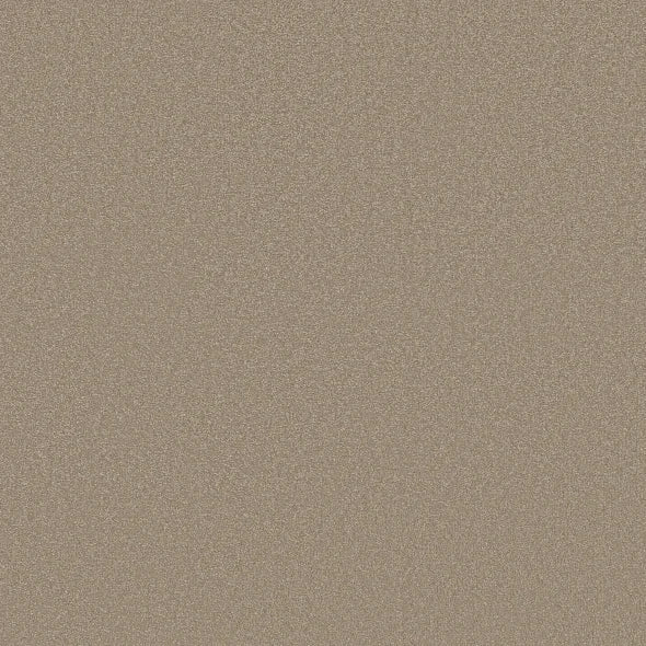 Shaw Floors - Carpet - Classics Collection  - Awaken Spirit II - 15' - Fresco