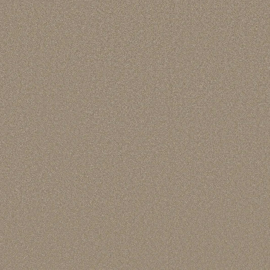 Shaw Floors - Carpet - Classics Collection  - Awaken Spirit II - 15' - Fresco