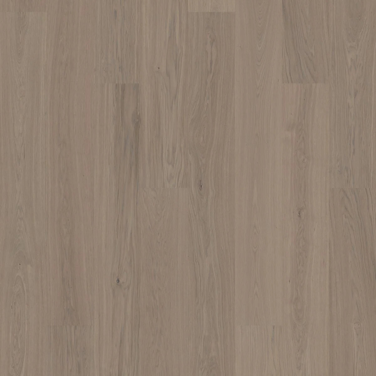 BJELIN - WOODURA - NATURE COLLECTION - XXL FORMAT - OAK - EARTH GREY