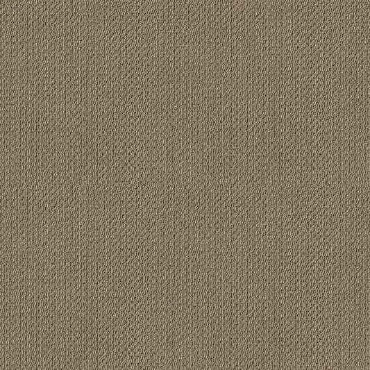 Shaw Floors - Carpet- Foundations Collection - Grounded