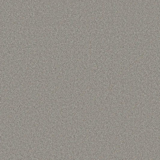 Shaw Floors - Carpet- Foundations Collection - HARMONIOUS II - Grey Fox