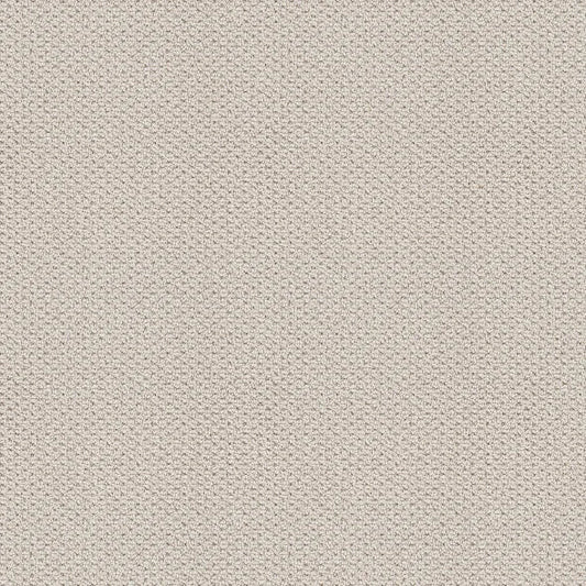 Shaw Floors - Carpet - Foundations Collection - Faint Intent - Gallery Opening