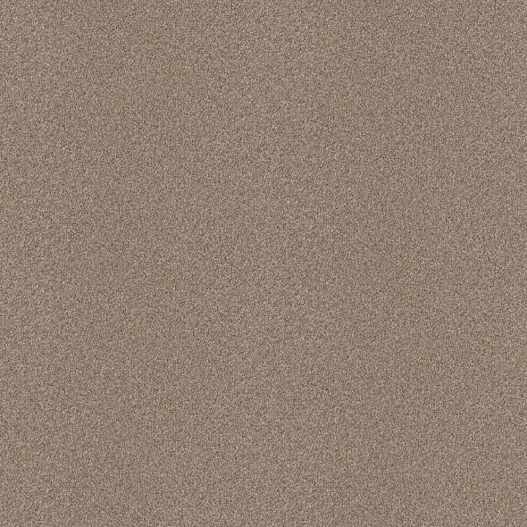 Shaw Floors - Carpet - Simply The Best  - Attainable - Grecian Tan