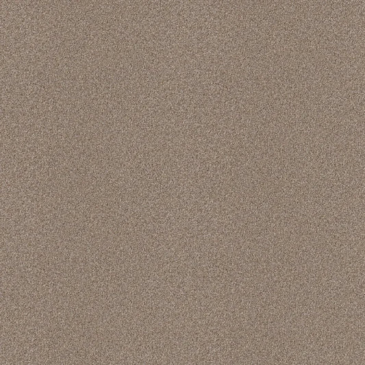 Shaw Floors - Carpet - Simply The Best  - Attainable - Grecian Tan