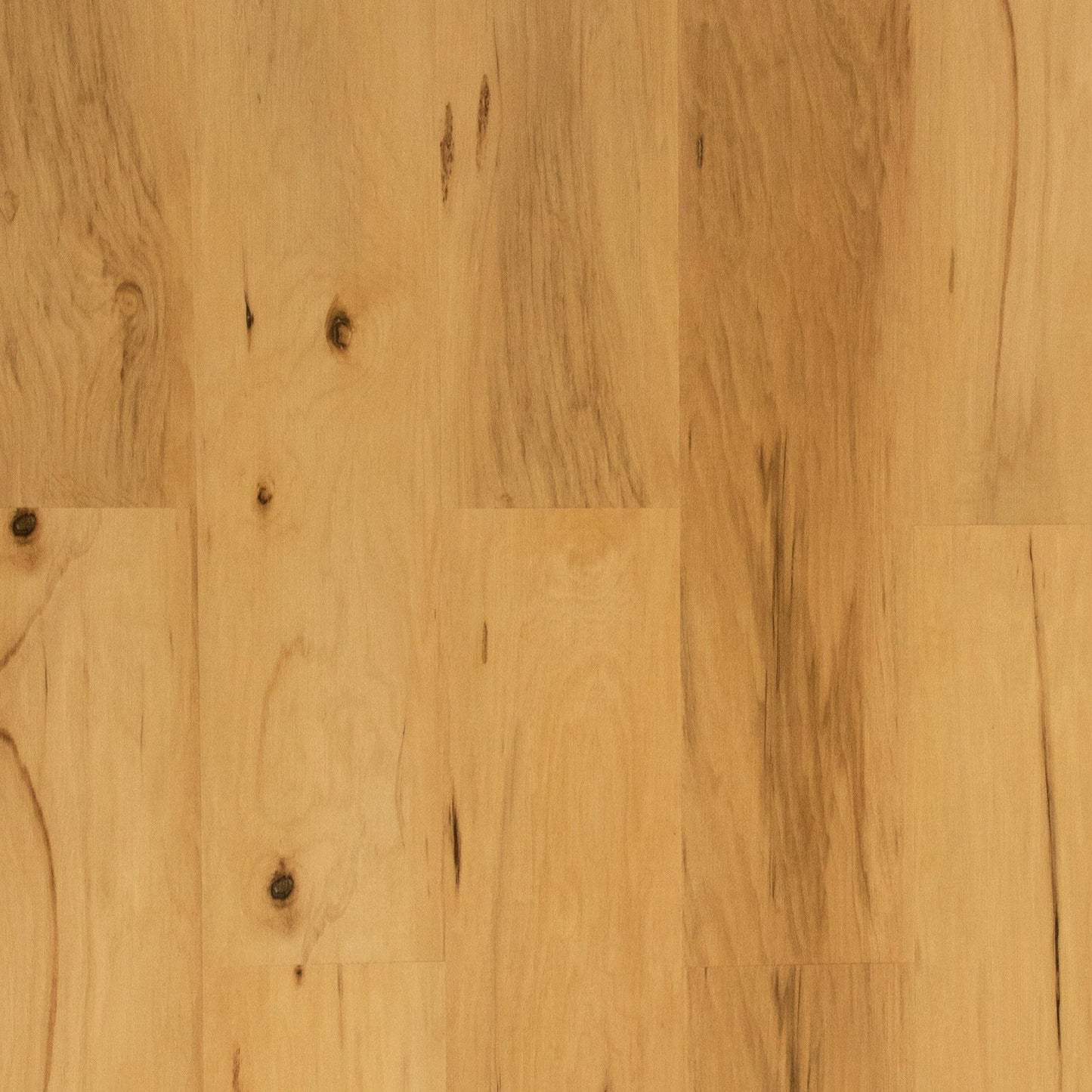 Grandeur Flooring - Pacific Collection - Golden Bay