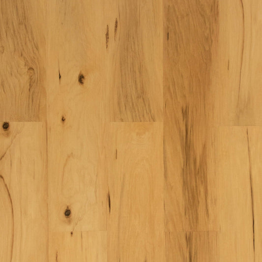 Grandeur Flooring - Pacific Collection - Golden Bay