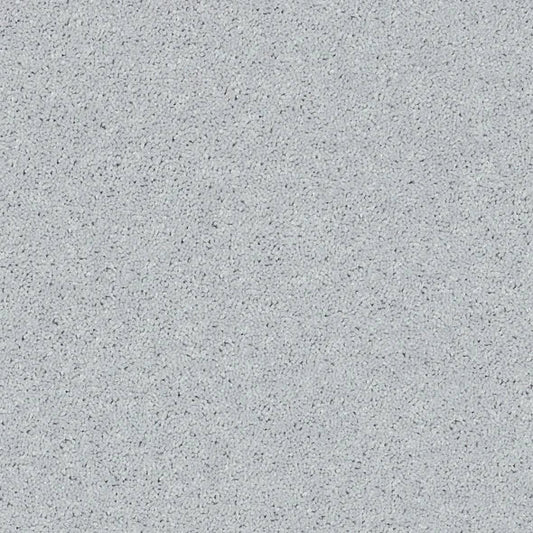 Shaw Floors - Carpet - Full Court 12' - Dove