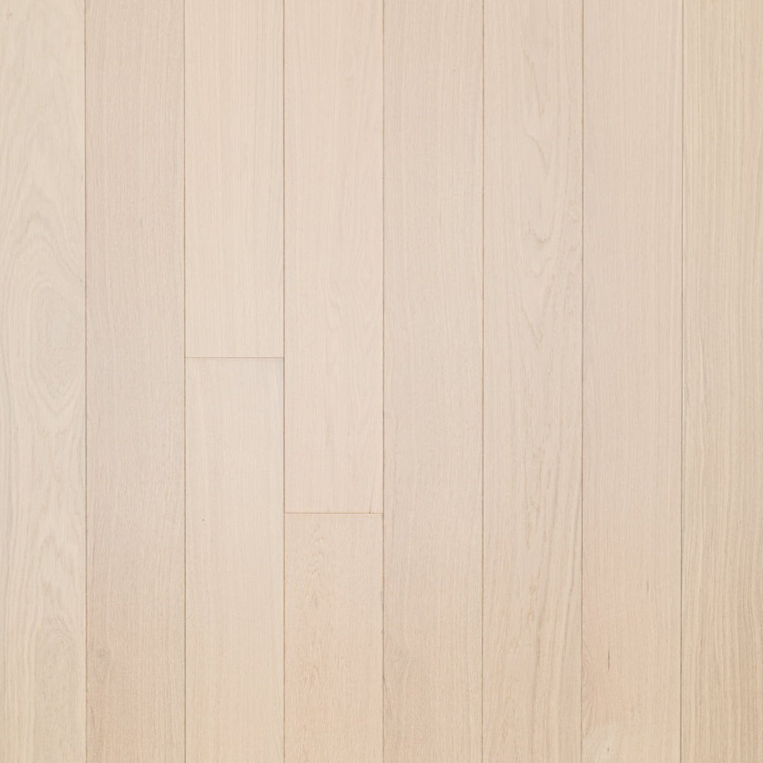 Floor Tek - William Collection - Griffin - AB Grade