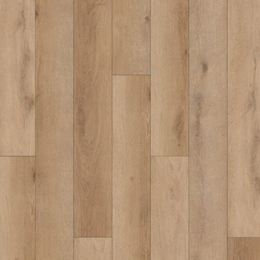 TAIGA - Stonewear+ Collection - Grog