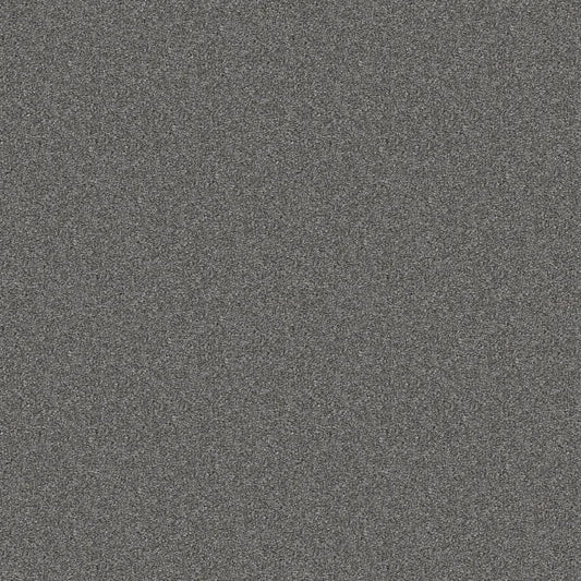 Shaw Floors - Carpet - Simply The Best  - Attainable - Hearthstone