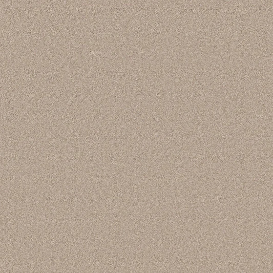 Shaw Floors - Carpet- Foundations Collection - HARMONIOUS II - Heirloom