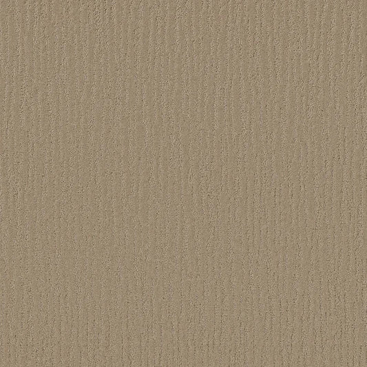 Shaw Floors - Carpet - Simply The Best Collection - Bandon Dunes - Hiking Trail