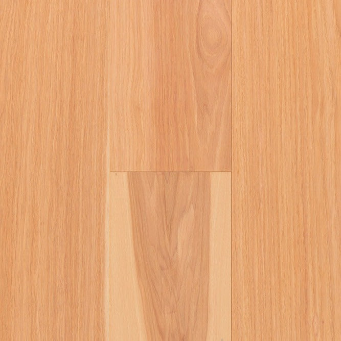 TORLYS - Everest XP Elite - Hickory Natural*