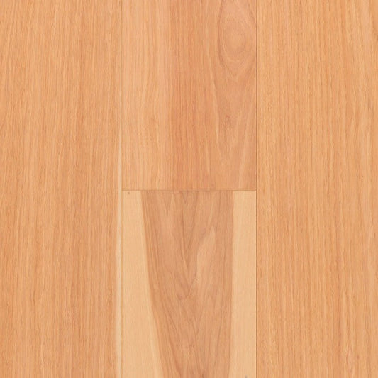 TORLYS - Everest XP Elite - Hickory Natural*