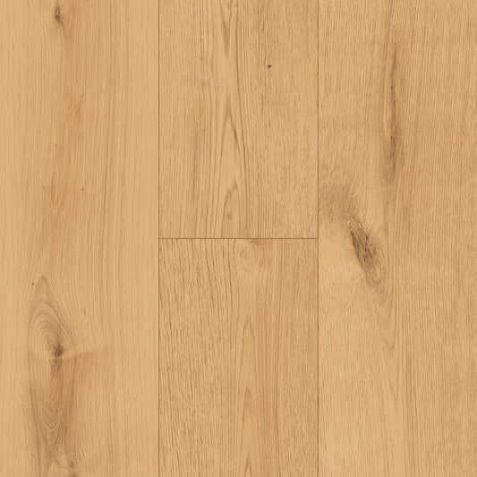 InHaus - Ceramin® - Icon Collection - Hollyburn