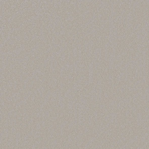 Shaw Floors - Carpet - Classics Collection  - Awaken Spirit II - 15' - Ice Cube