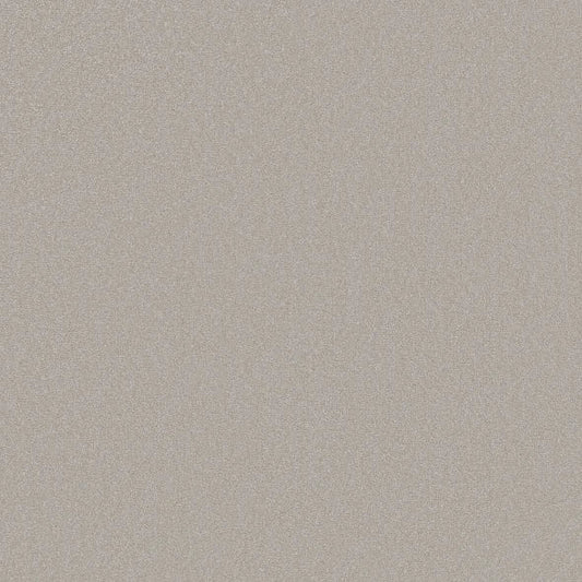 Shaw Floors - Carpet - Classics Collection  - Awaken Spirit II - 15' - Ice Cube