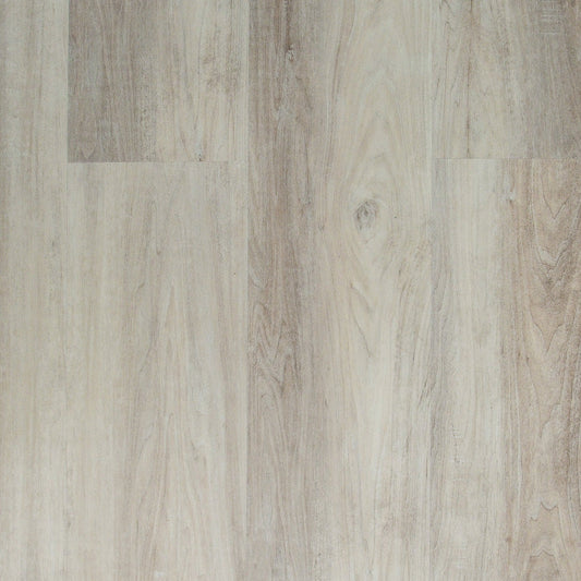 TURION - Caspian Collection - Iris