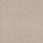 Shaw Floors - Carpet - Foundations Collection - Faint Intent - Sun Kissed