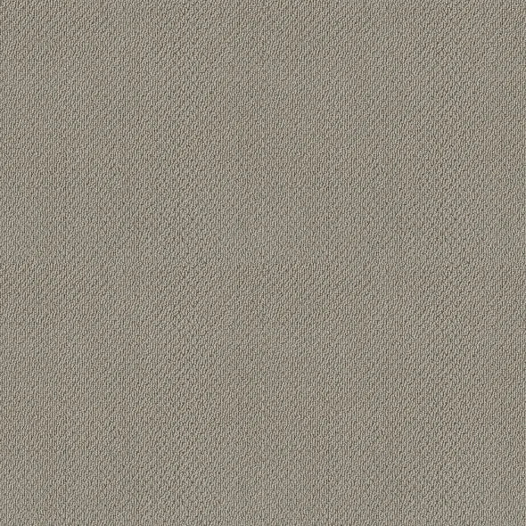 Shaw Floors - Carpet- Foundations Collection - Lady In Gray