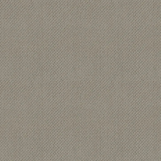 Shaw Floors - Carpet- Foundations Collection - Lady In Gray