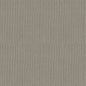 Shaw Floors - Carpet- Foundations Collection - Lady In Gray