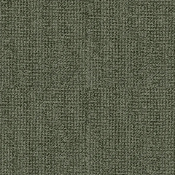 Shaw Floors - Carpet- Foundations Collection - Lush Garden