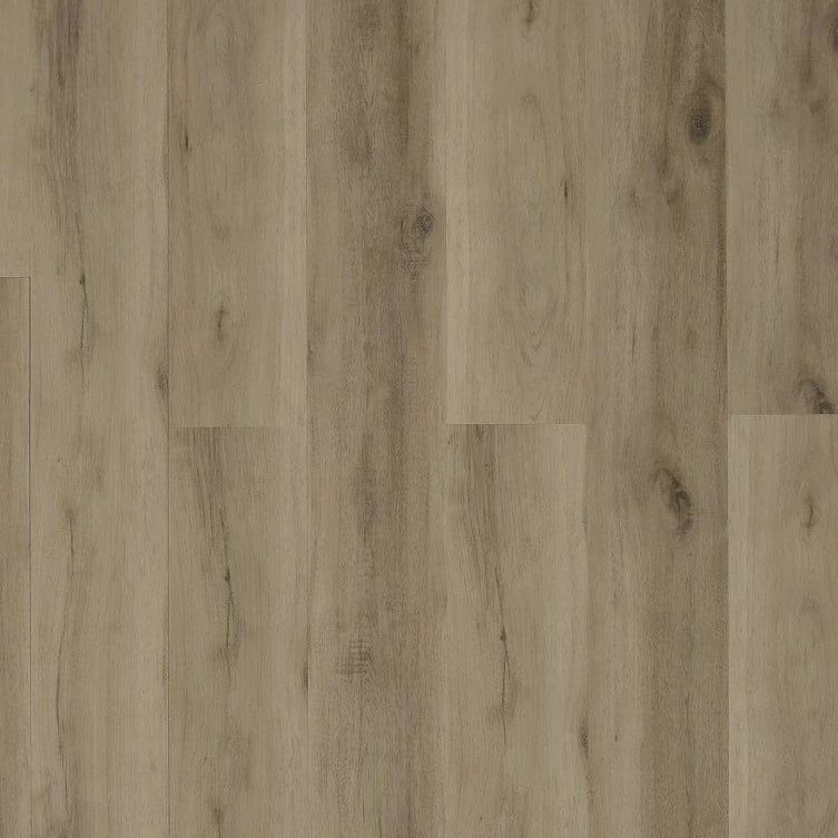 Toucan - TFL607 - Dynamic Grey