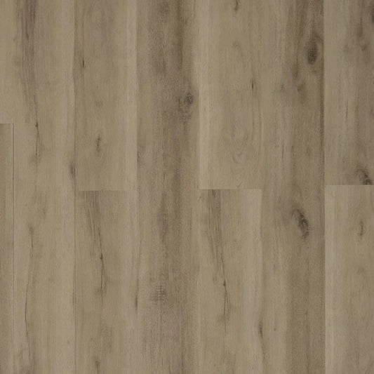 Toucan - TFL607 - Dynamic Grey