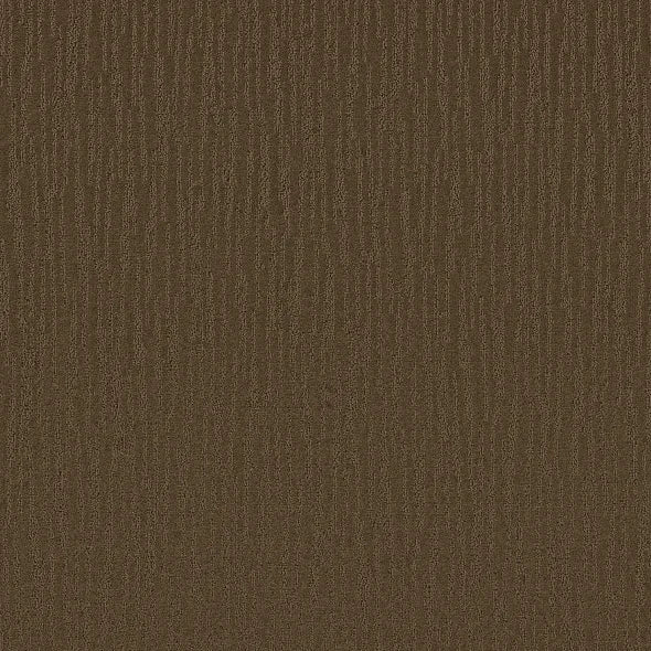 Shaw Floors - Carpet - Simply The Best Collection - Bandon Dunes - Mocha Chip