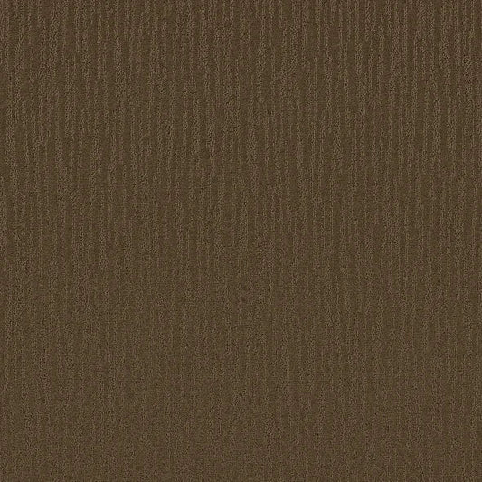 Shaw Floors - Carpet - Simply The Best Collection - Bandon Dunes - Mocha Chip