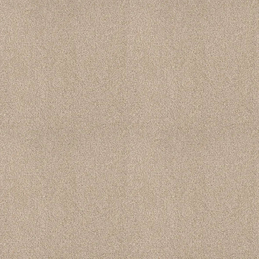 Shaw Floors - Carpet - COMFORTING I - Mesa