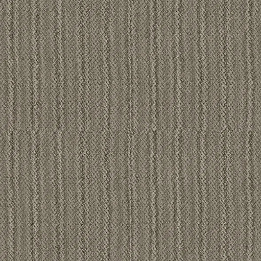 Shaw Floors - Carpet- Foundations Collection - Mocha