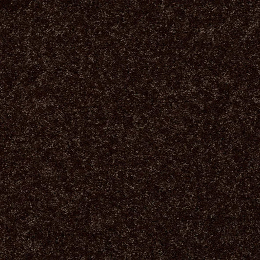 Shaw Floors - Carpet - Full Court 12' - Coffee Bean