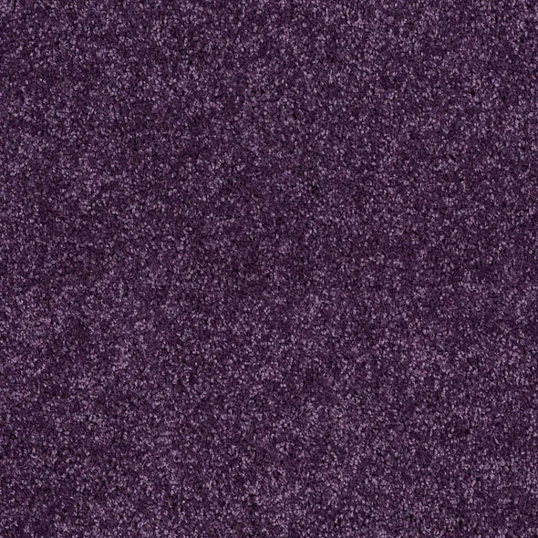 Shaw Floors - Carpet - Full Court 12' - Grape Slushy